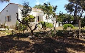 Bonifacio, maison 90m² sous les oliviers, vue Sardaigne