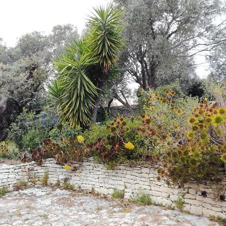 Bonifacio, maison 90m² sous les oliviers, vue Sardaigne Bonifacio  Extérieur photo