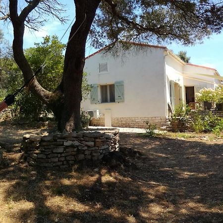 Bonifacio, maison 90m² sous les oliviers, vue Sardaigne Bonifacio  Extérieur photo