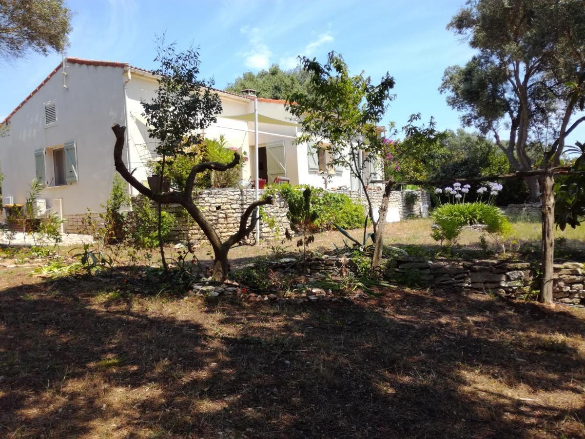 Bonifacio, maison 90m² sous les oliviers, vue Sardaigne Bonifacio  Extérieur photo